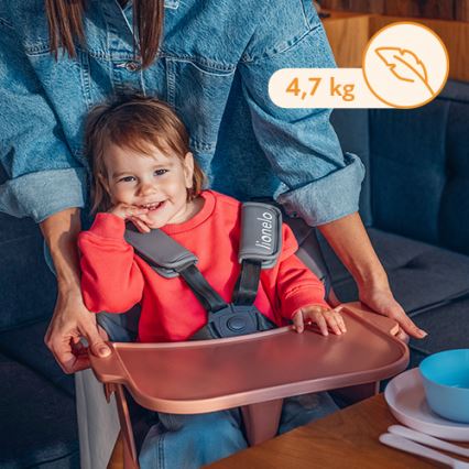 Lionelo - KOEN 2-in-1 Kids' Dining Chair, Pink Rose