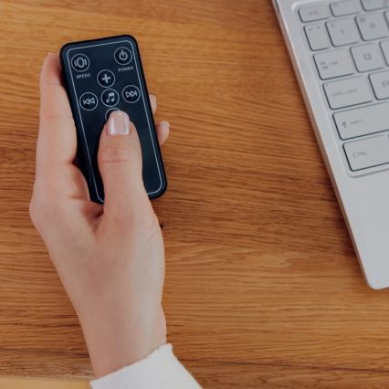 Lionelo - RIO Baby Bouncer with Melody, 4xC, Beige Latte + Remote Control