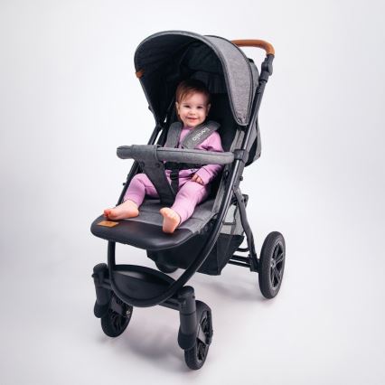 Lionelo - Stroller ANNET TOUR grey