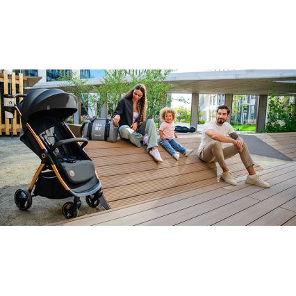 Lionelo - Stroller INGRID black