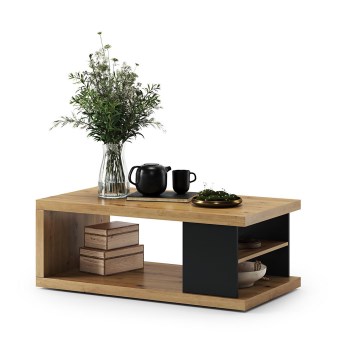 LORA Coffee Table with Shelf and Storage, Artisan Oak/Black