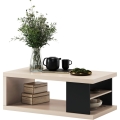 LORA coffee table with shelf and storage, beige/black