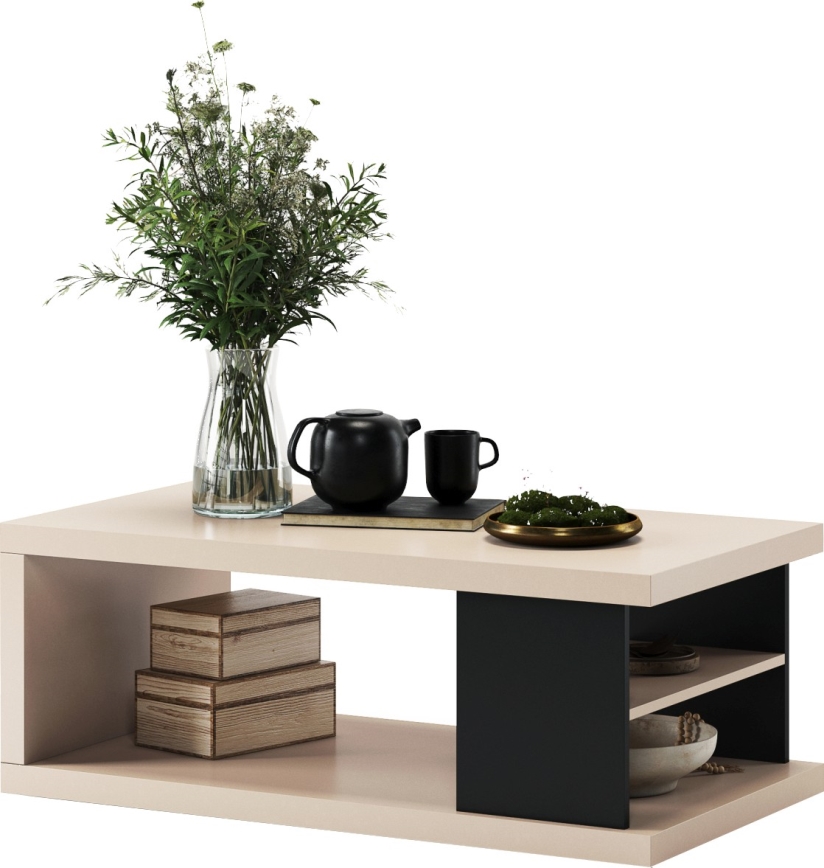 LORA coffee table with shelf and storage, beige/black