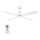 Lucci Air 210521 - Ceiling fan AIRFUSION CLIMATE wood/white + remote control