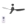 Lucci Air 210527 - Ceiling fan AIRFUSION CLIMATE II black + remote control