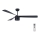 Lucci air 213281 - Ceiling fan PEREGRINE 1xGX53/12W/230V black + remote control
