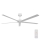 Lucci air 21616049 - Ceiling fan MONZA IP55 white + remote control