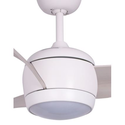 Lucci air 512911 - LED Ceiling fan AIRFUSION NORDIC LED/20W/230V wood/white + remote control