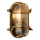 Lucide 11891/20/02 - Outdoor wall light DUDLEY 1xE27/40W/230V IP65 gold