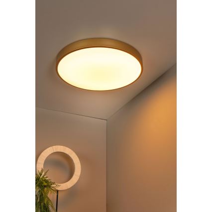 Lucide 79185/50/02 - LED Dimmable ceiling light UNAR LED/36W/230V d. 49,5 cm gold
