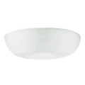 Luxera 68009 - ULTIMA E27 Replacement Glass