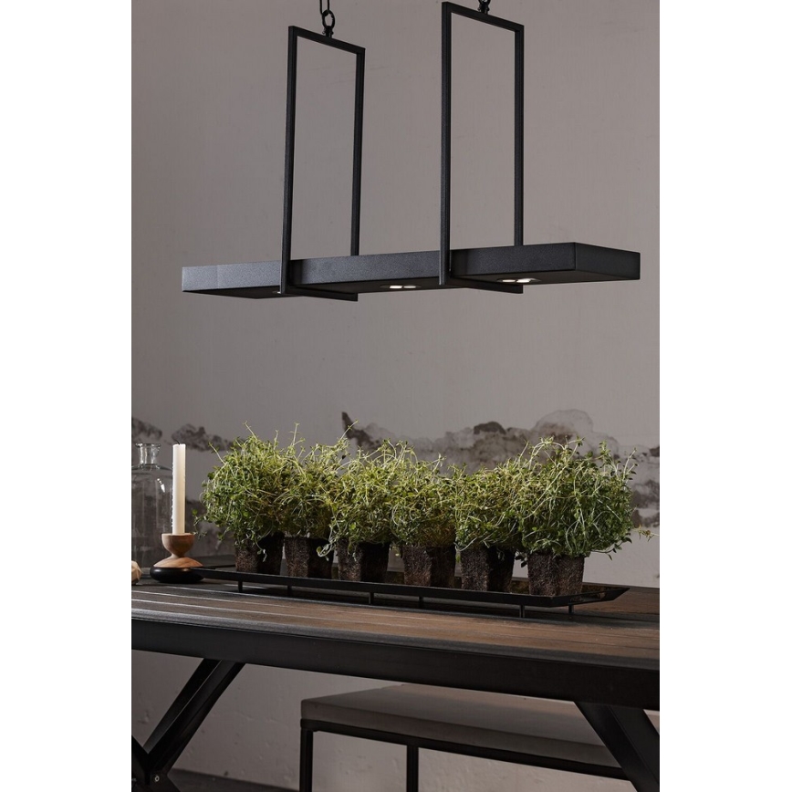 Markslöjd 105780 - LED Dimmable chandelier on a chain TRAY 3xLED/3W/230V black