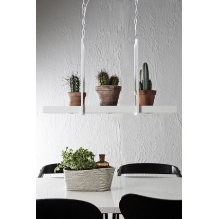 Markslöjd 106124 - LED Dimmable chandelier on a chain TRAY 3xLED/3W/230V white