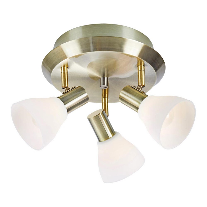 Markslöjd 107506 - Spotlight VERO 3xE14/40W/230V brass