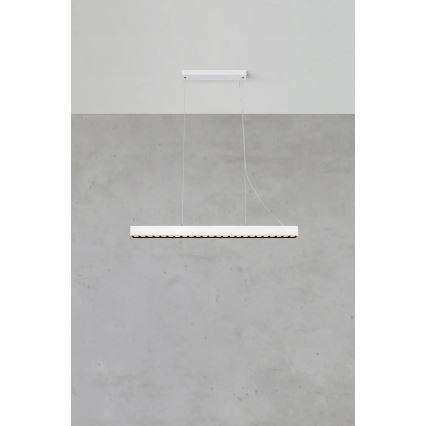 Markslöjd 108892 - PLANO LED/38W/230V Dimmable Cable Pendant Light, White