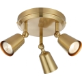 Markslöjd 108980 - TINY spotlight 3xGU10/7W/230V brass