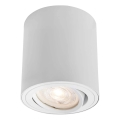 Markslöjd 109020 - DIRETTO LED Dimmable Spotlight, 5W/230V, CRI 90, White