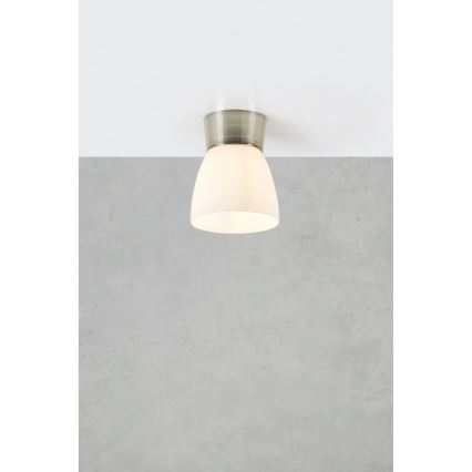 Markslöjd 109026 - Bathroom ceiling light NERJA 1xE27/40W/230V IP44 matte chrome