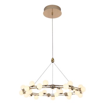 MARS LED cable-suspended chandelier LED/50W/230V 3000K Gold