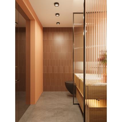 MAXLIGHT C0204 - LED Bathroom ceiling light KODAK LED/8W/230V d. 10,8 cm IP44 black