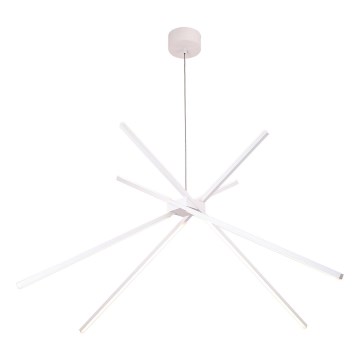 MAXLIGHT P0270 - LED Chandelier on a string SPIDER LED/33W/230V white