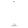 MAXLIGHT P0505 - LED Chandelier on a string VULCANO LED/5W/230V d. 30,5 cm white