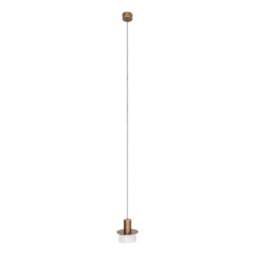 MAXLIGHT P0530 - LED Chandelier on a string SIGNATURE LED/8W/230V d. 15 cm brass/clear