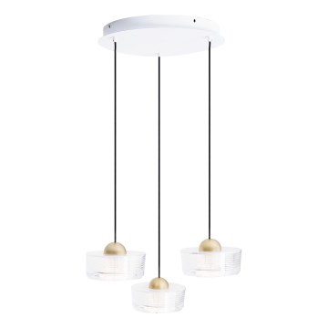 MAXLIGHT P0543 - LED Chandelier on a string LIPARI LED/22W/230V d. 35 cm clear