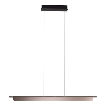 MAXLIGHT P0597 - LED Dimmable chandelier on a string JO-JO LED/40W/230V 2700/4500/5500K anthracite