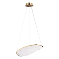 MAXLIGHT P0637D - LED Cable Chandelier EMPIRE LED/17W/230V Gold