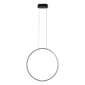 MAXLIGHT P0652 - VISUAL VER LED Cable-Suspended Bathroom Pendant 22W/230V IP44 Black