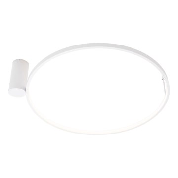 MAXLIGHT W0434 - LED Bathroom Ceiling Light VISUAL LED/22W/230V Ø 60 cm IP44 White