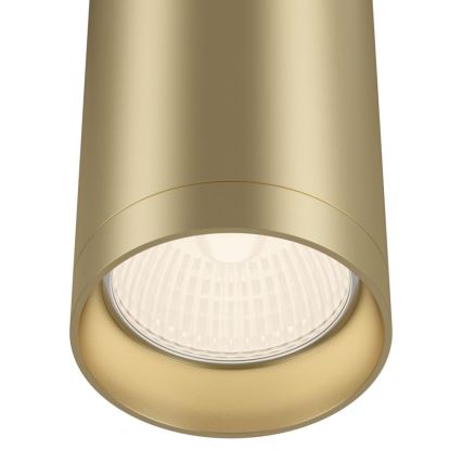 Maytoni C010CL-01MG - Spotlight FOCUS 1xGU10/50W/230V gold