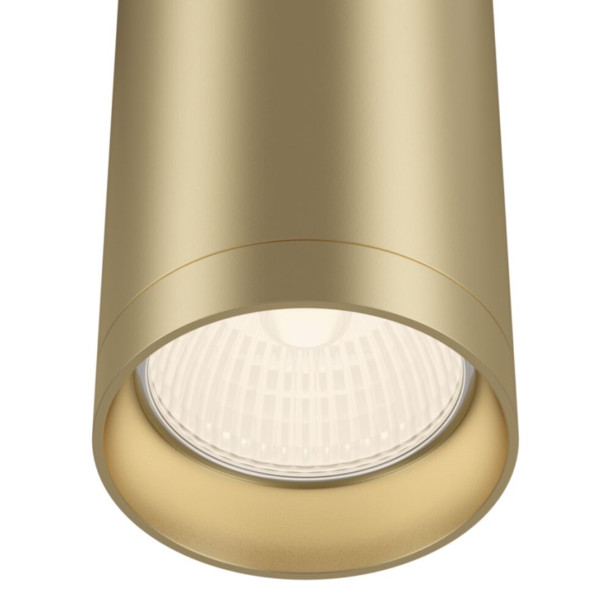 Maytoni C010CL-01MG - Spotlight FOCUS 1xGU10/50W/230V gold
