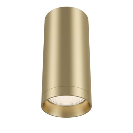 Maytoni C010CL-01MG - Spotlight FOCUS 1xGU10/50W/230V gold