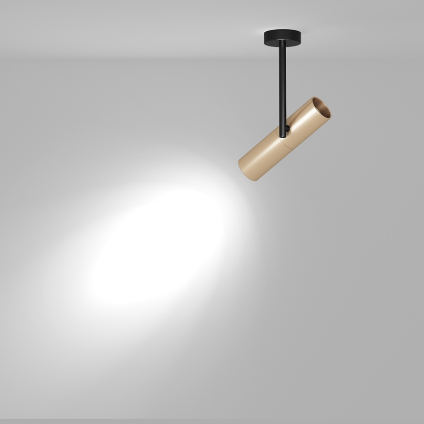 Maytoni C020CL-01GB - Spotlight ELTI 1xGU10/50W/230V gold