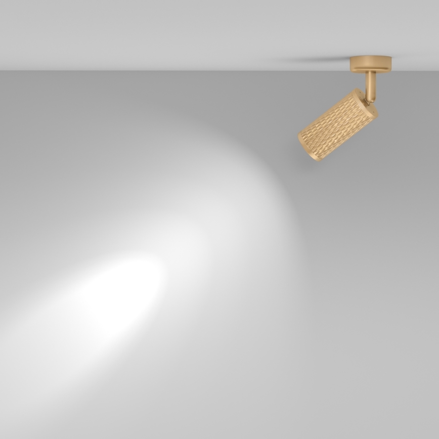 Maytoni C034CL-01G - FOCUS spotlight 1xGU10/10W/230V gold