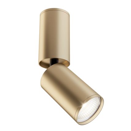 Maytoni C051CL-01G - Spotlight FOCUS 1xGU10/10W/230V gold
