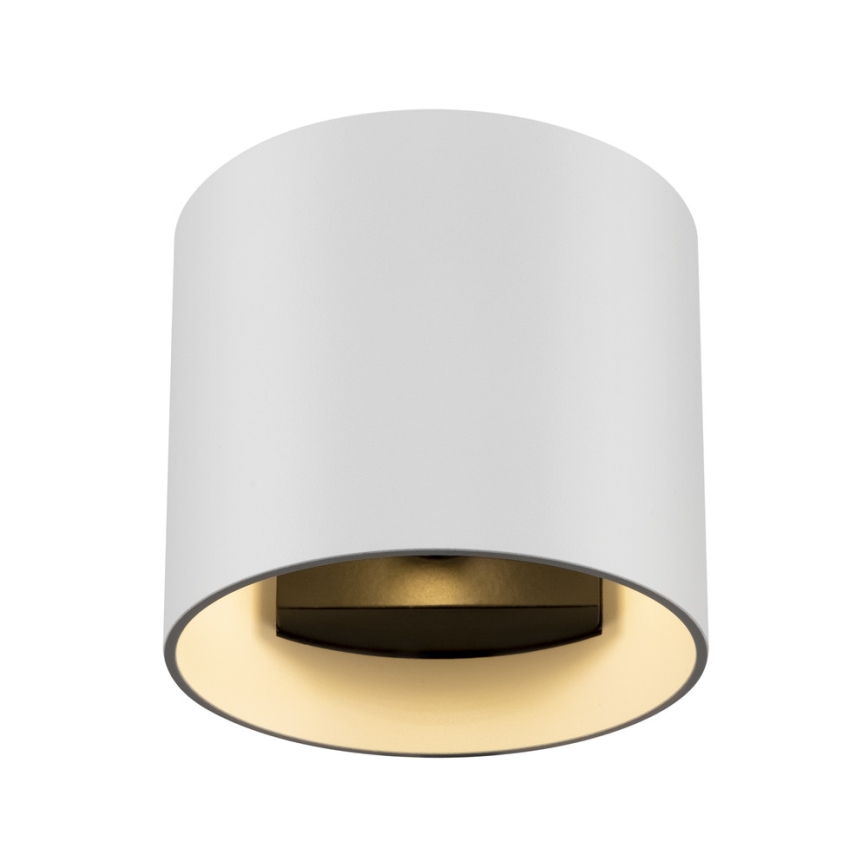 Maytoni C066WL-01W - Wall light ROND 1xG9/50W/230V white