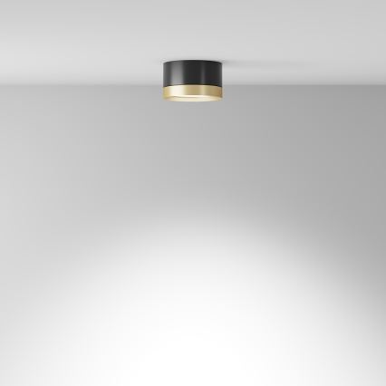 Maytoni C086CL-GX53-SRD-BG - Spotlight HOOP 1xGX53/15W/230V black/gold