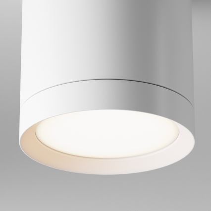 Maytoni C086CM-GX53-MRD-W - Spotlight HOOP 1xGX53/15W/230V white