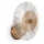 Maytoni MOD007WL-01G - Wall light ASTER 1xE14/40W/230V