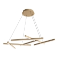 Maytoni MOD016PL-L75MG3K - LED Chandelier on a string LINE LED/79W/230V gold
