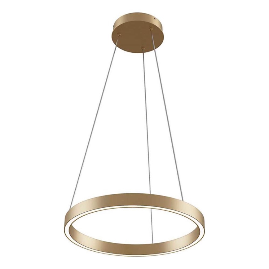Maytoni MOD058PL-L22BS3K - LED Chandelier on a string RIM LED/25W/230V 3000K d. 40 cm gold