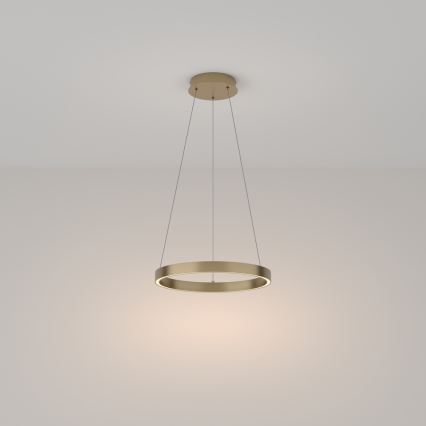 Maytoni MOD058PL-L22BS3K - LED Chandelier on a string RIM LED/25W/230V 3000K d. 40 cm gold