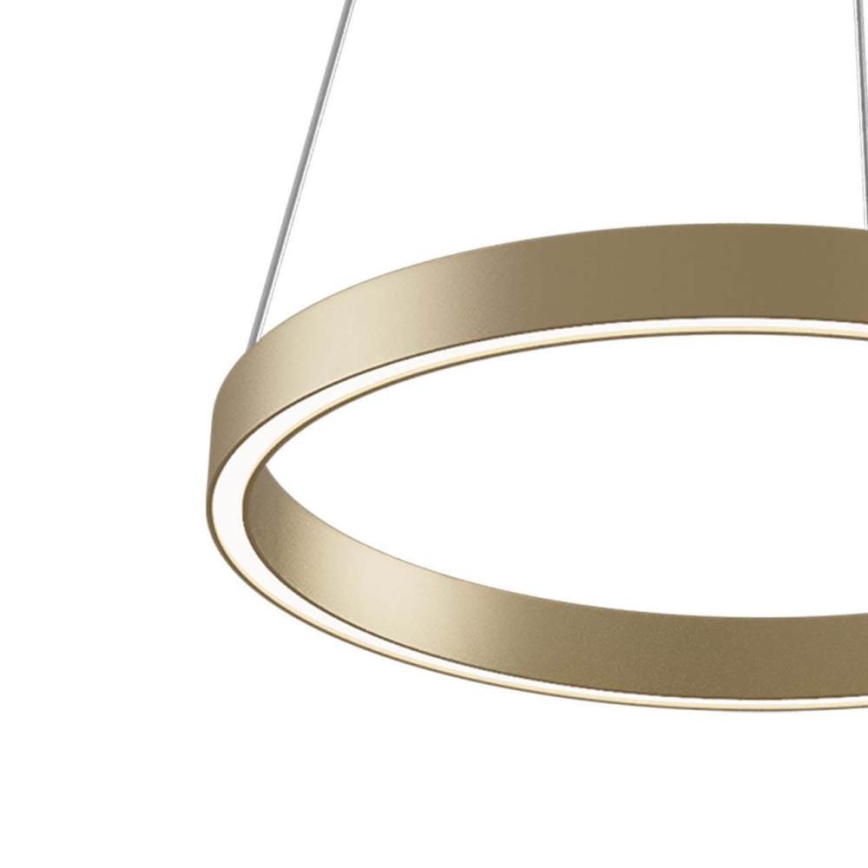 Maytoni MOD058PL-L22BS3K - LED Chandelier on a string RIM LED/25W/230V 3000K d. 40 cm gold