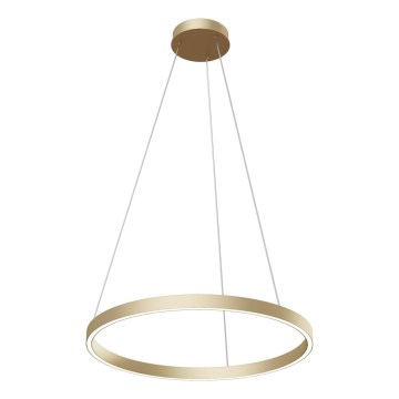 Maytoni MOD058PL-L32BS4K - LED Chandelier on a string RIM LED/37W/230V 4000K d. 60 cm gold