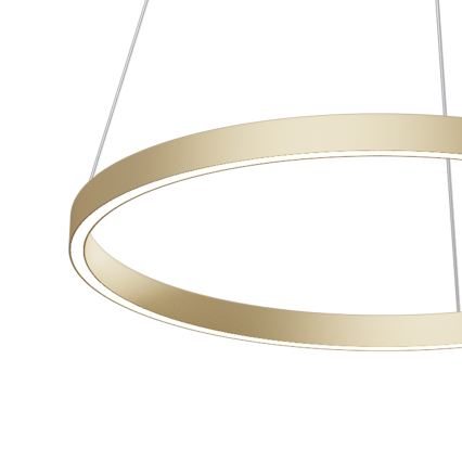 Maytoni MOD058PL-L32BS4K - LED Chandelier on a string RIM LED/37W/230V 4000K d. 60 cm gold