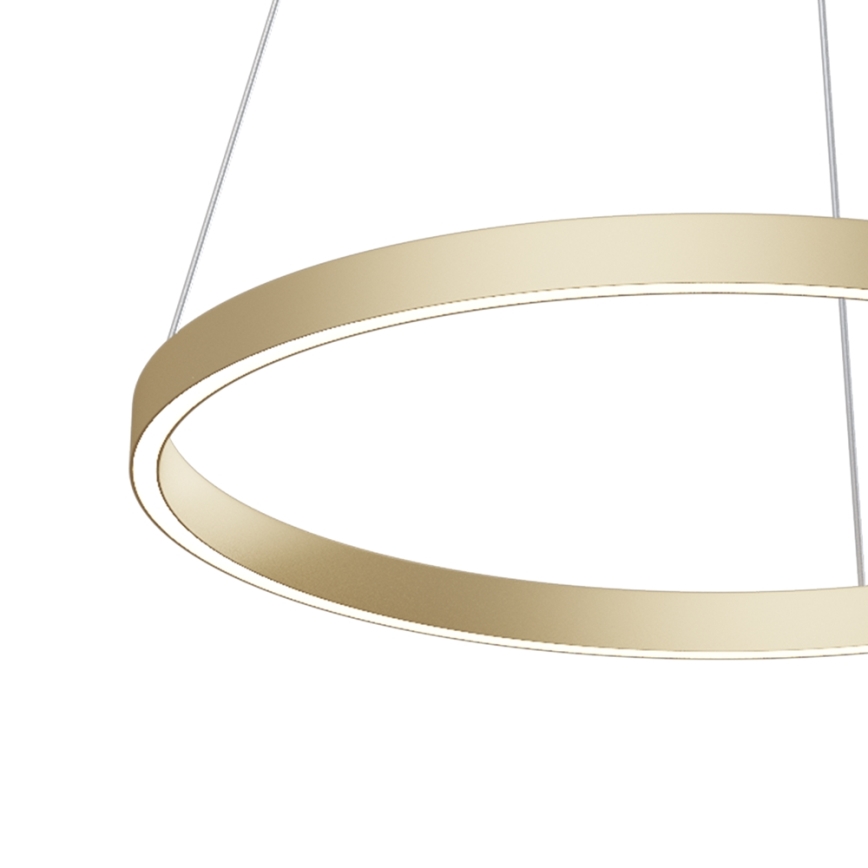 Maytoni MOD058PL-L32BS4K - LED Chandelier on a string RIM LED/37W/230V 4000K d. 60 cm gold