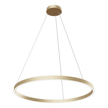 Maytoni MOD058PL-L42BS4K - LED Chandelier on a string RIM LED/51W/230V 4000K d. 80 cm gold